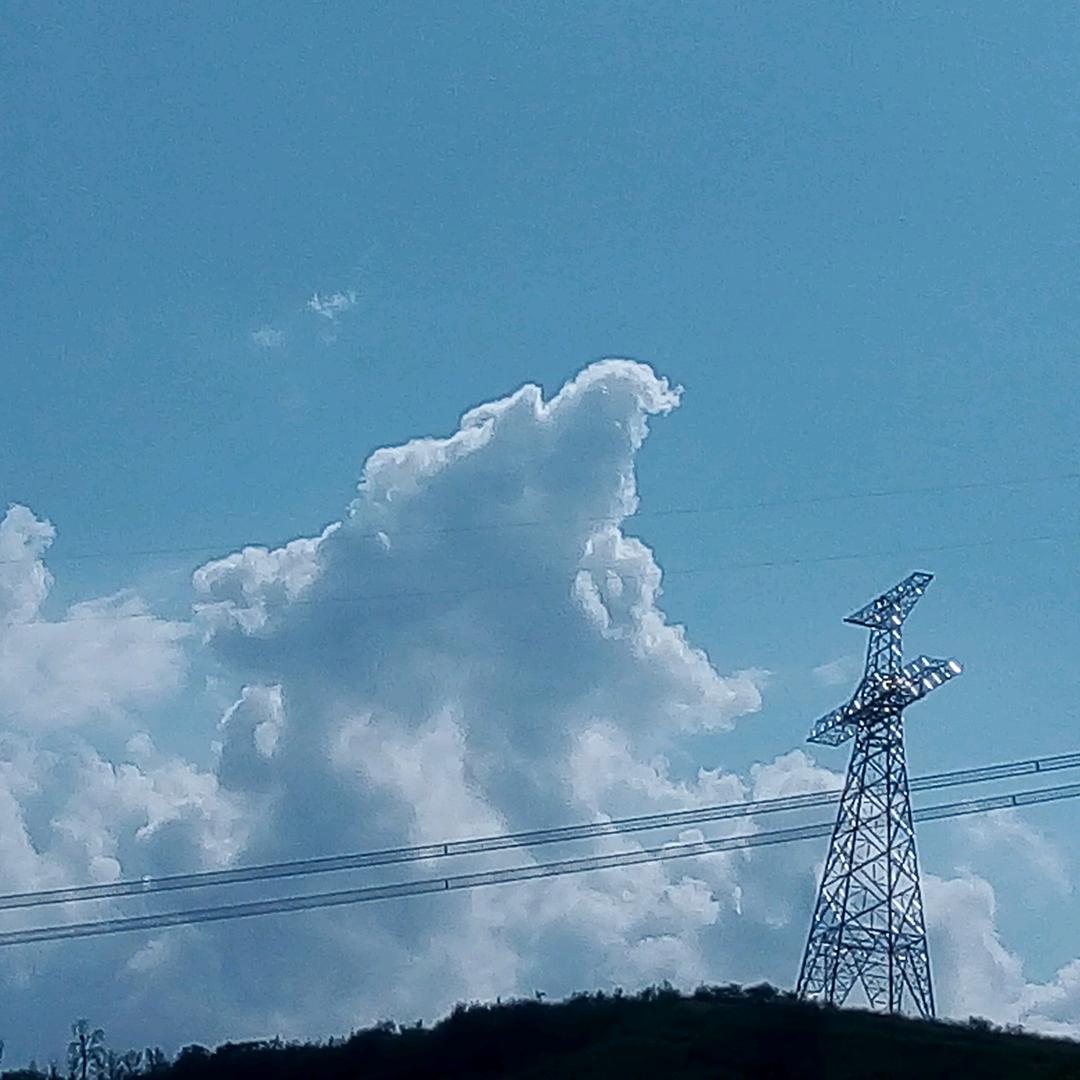 李