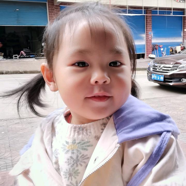柠檬片