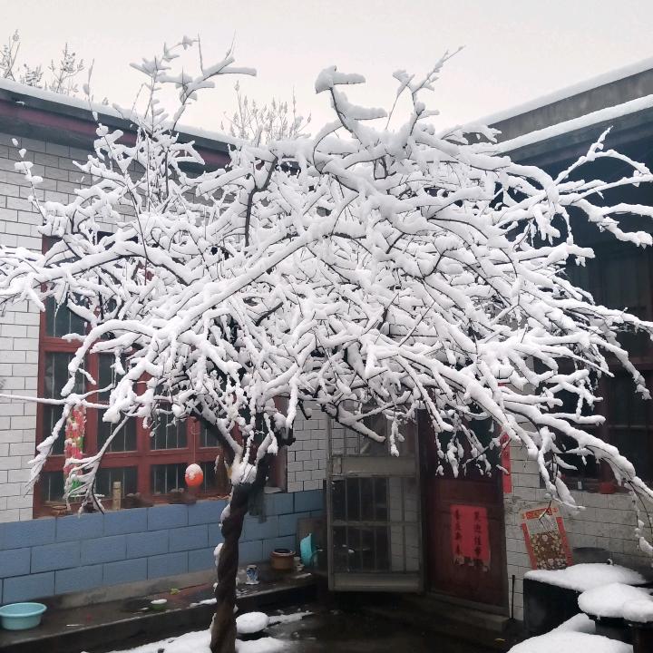 抽支寂寞的烟