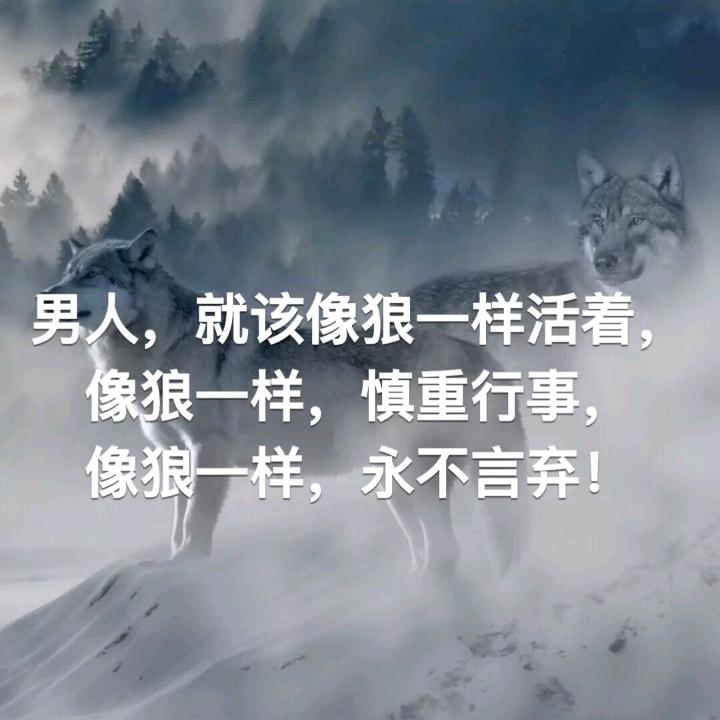 关中硬汉