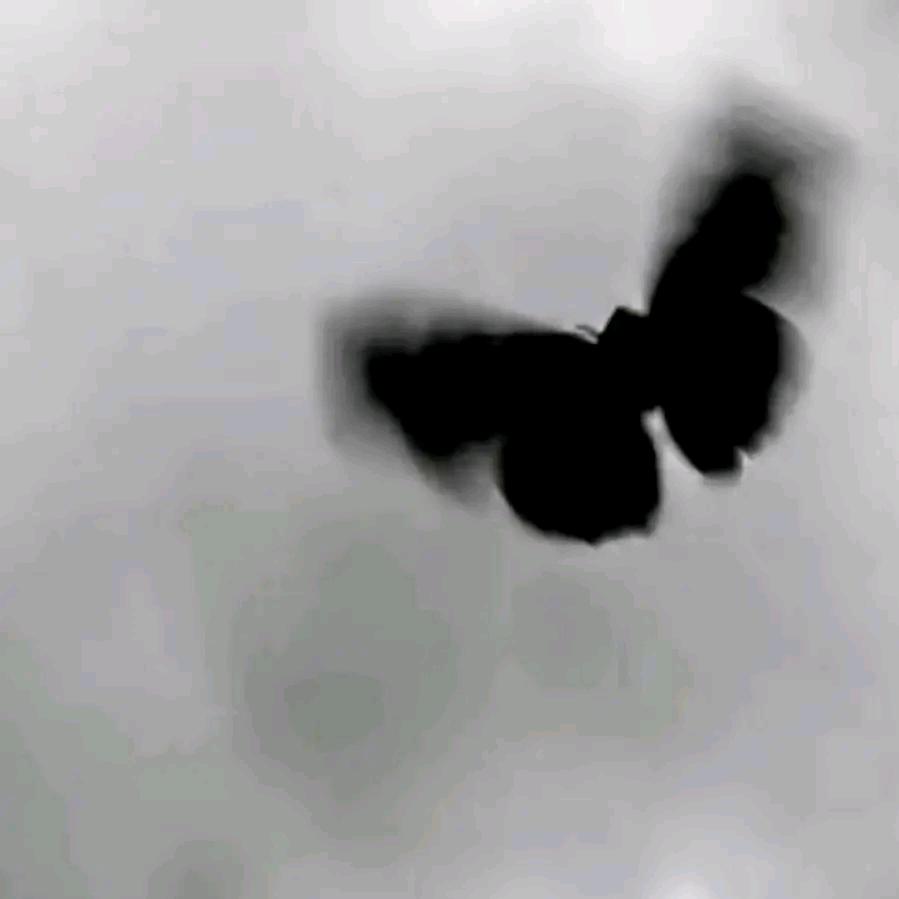 时宜