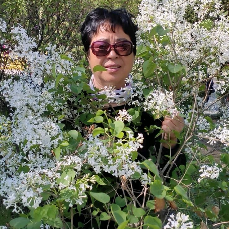 古月