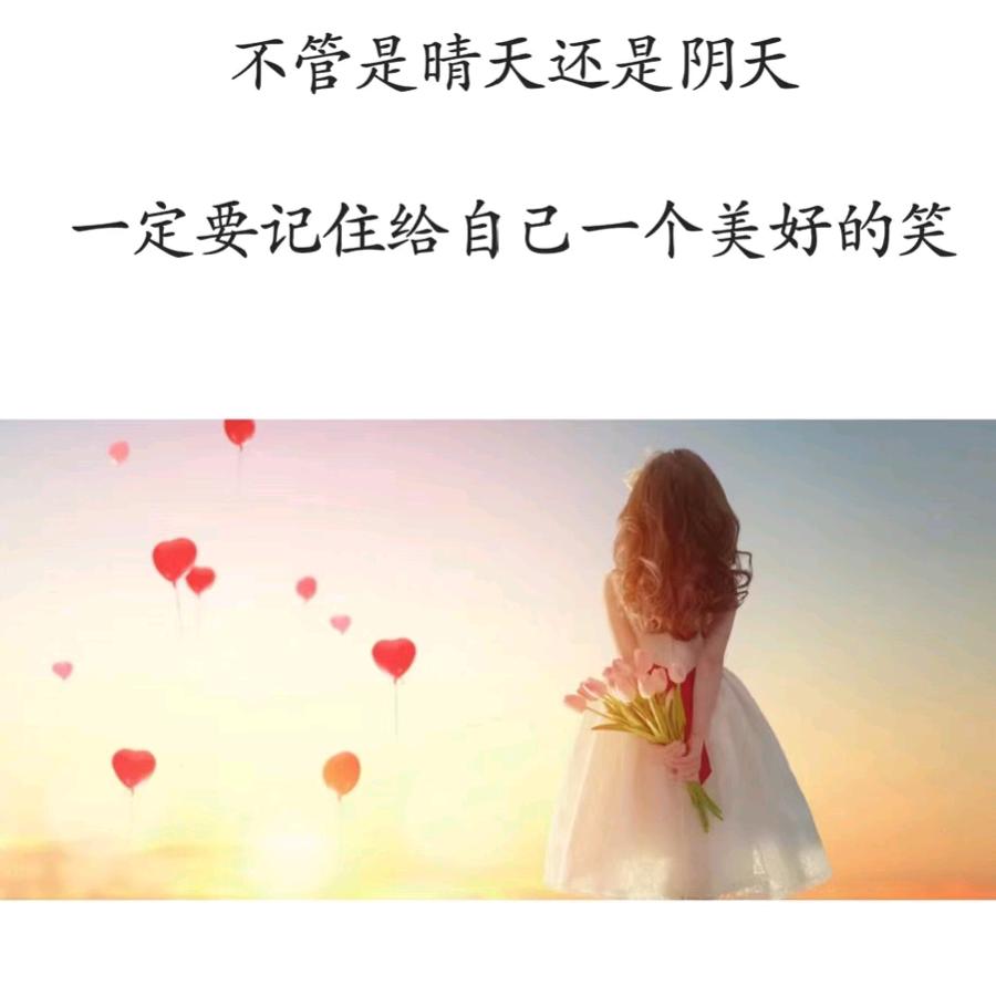 枯叶蝶