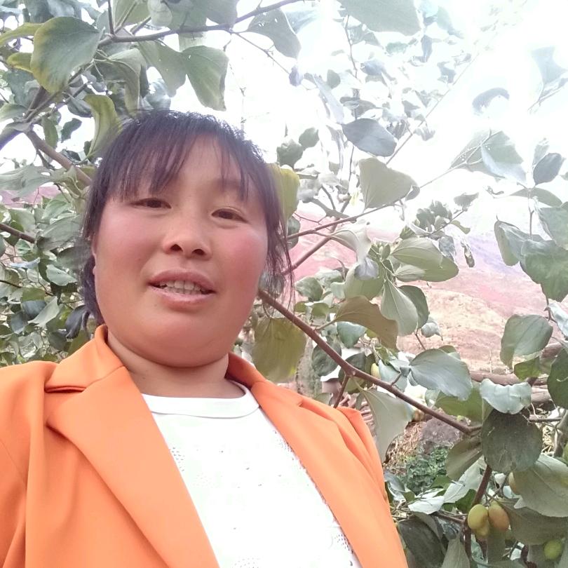 78，马🐴