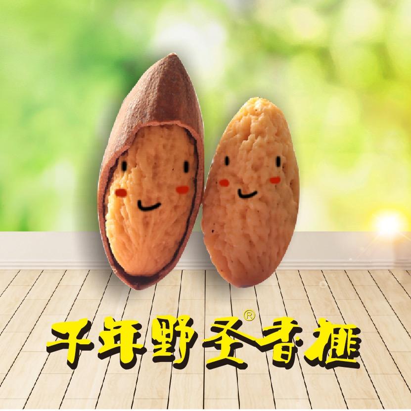 千年野圣古树香榧，高山龙井！