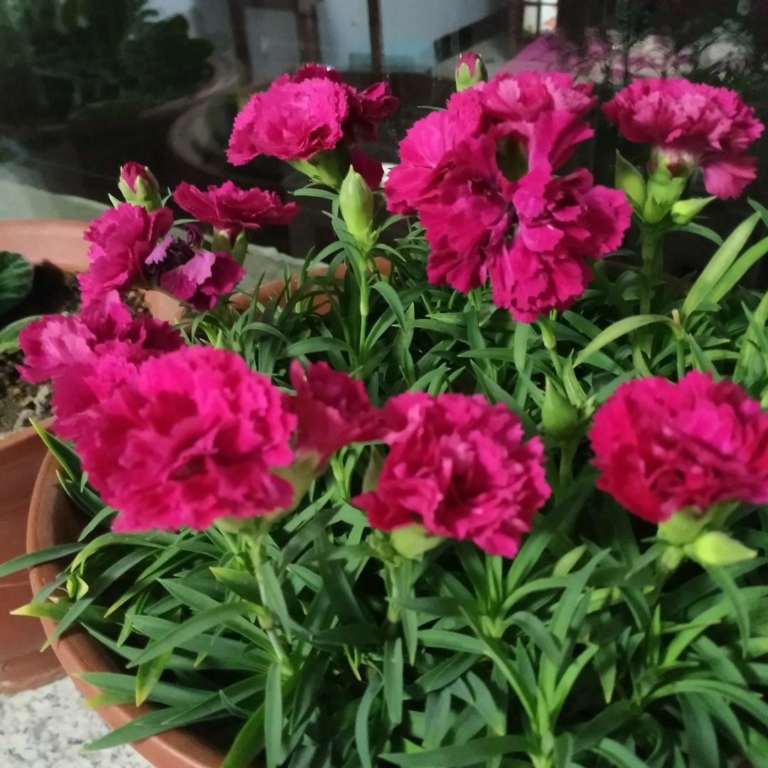 用户2519383675310玲玲