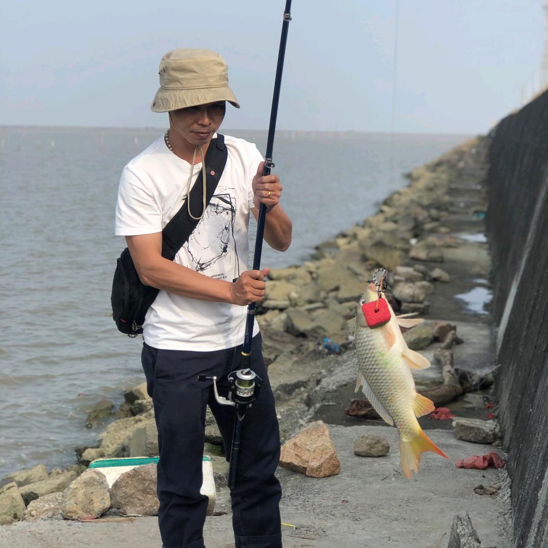 海碧龙