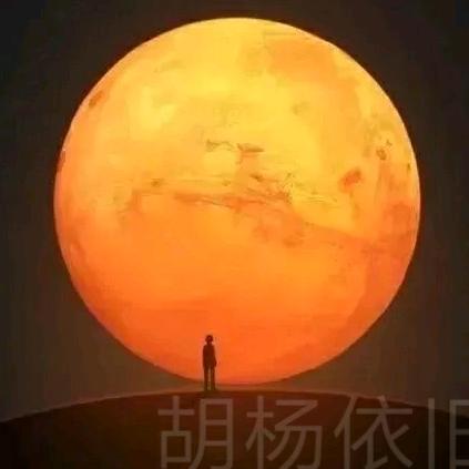 胡杨依旧