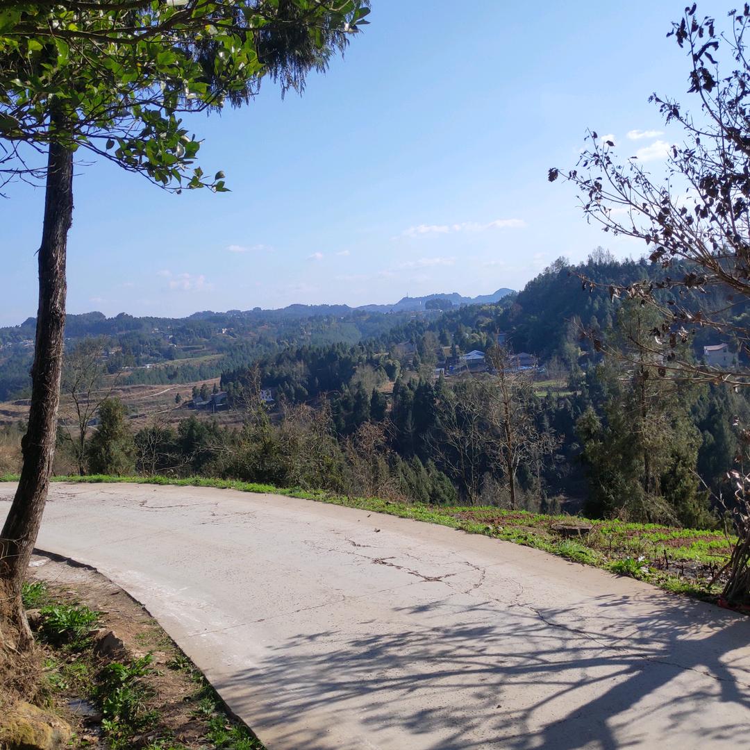 🍊橘子好甜🍊