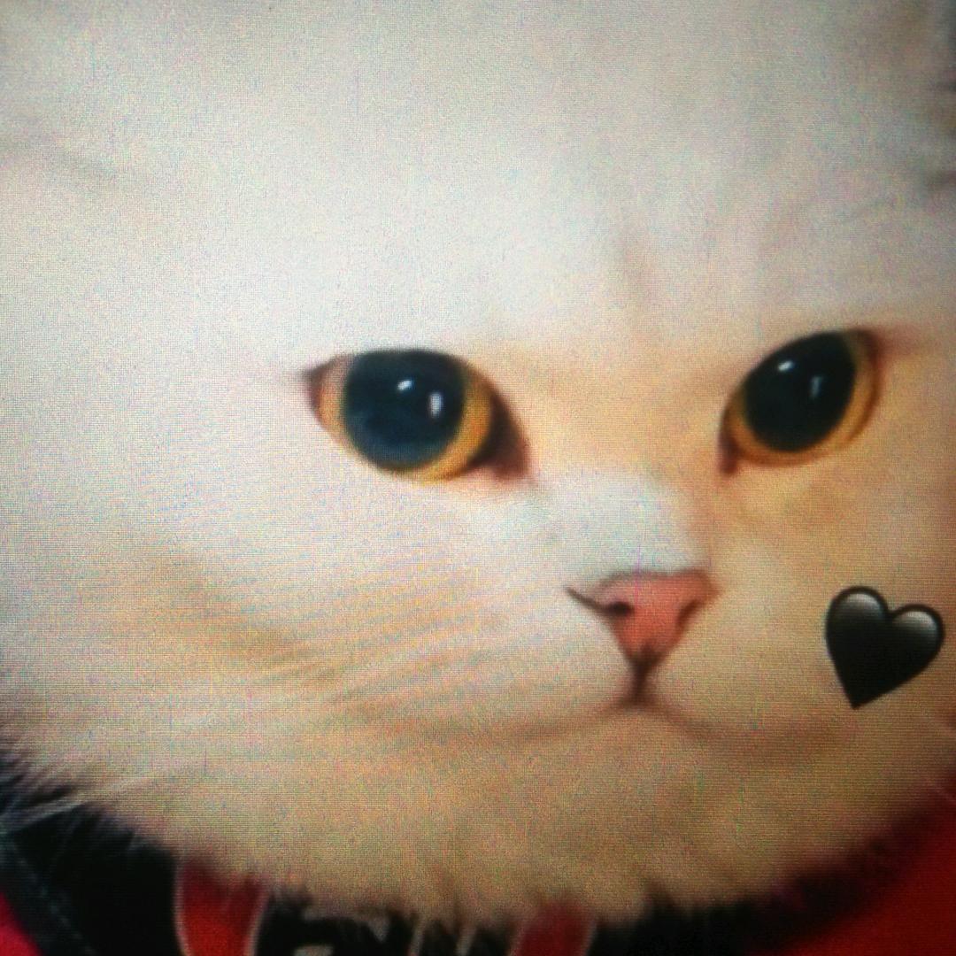欣