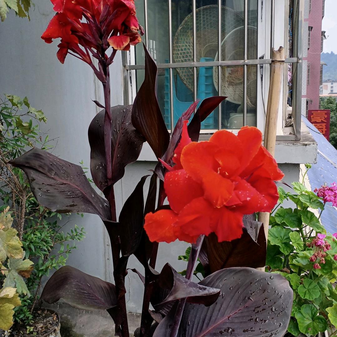 你在哪里，我来了