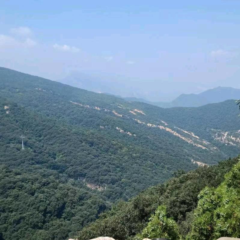 AAA@《博达工程机械租赁有限公司》