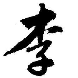 白城李洋短视频