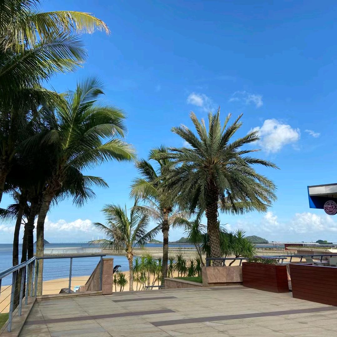 你是我的小幸运