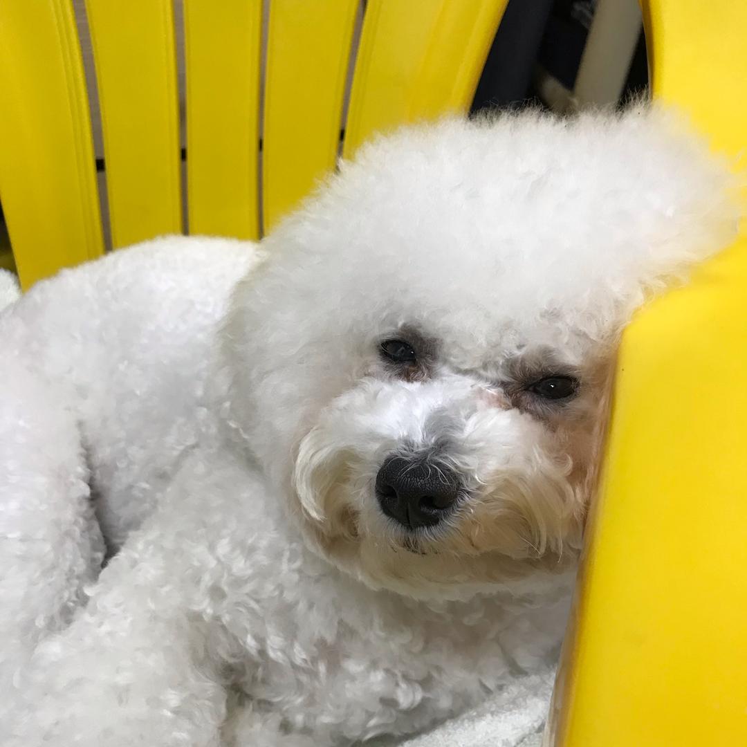 咯噔