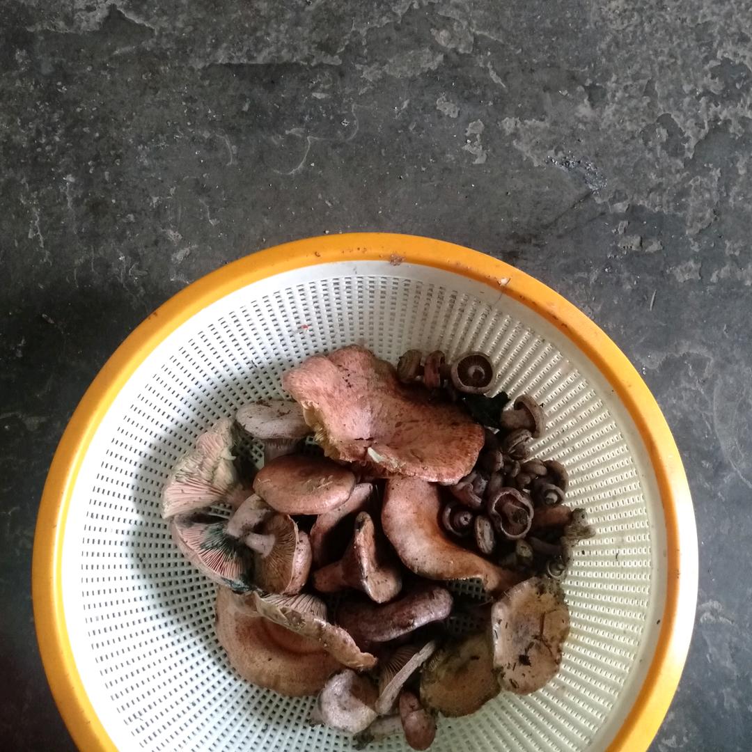 乡村家厨