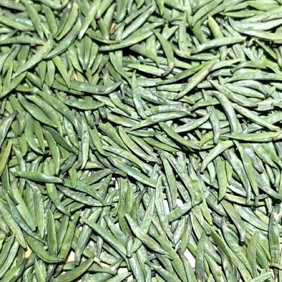 玉泉茶行