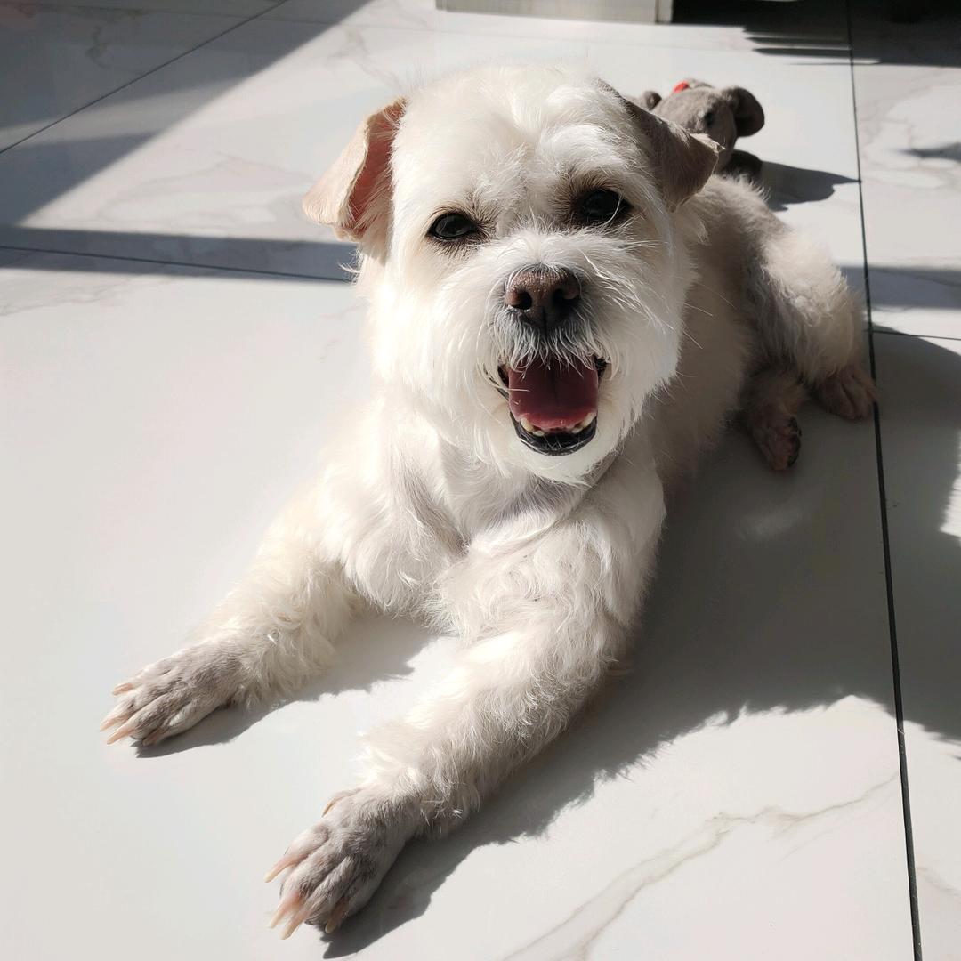 幸福就在左手边