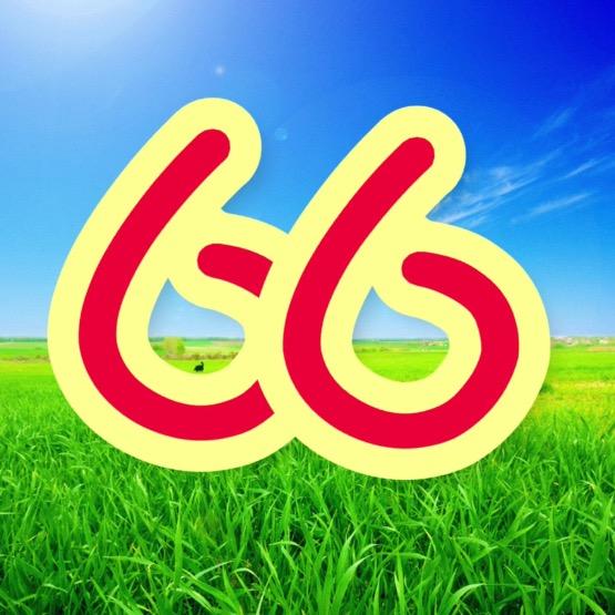 66旅行