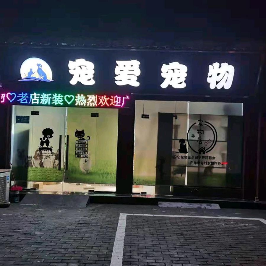 狗儿哥
