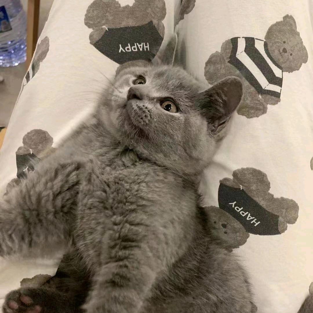 Y.