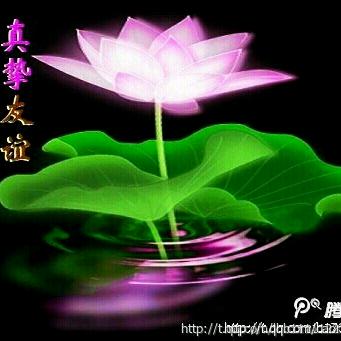@执念的蓝图