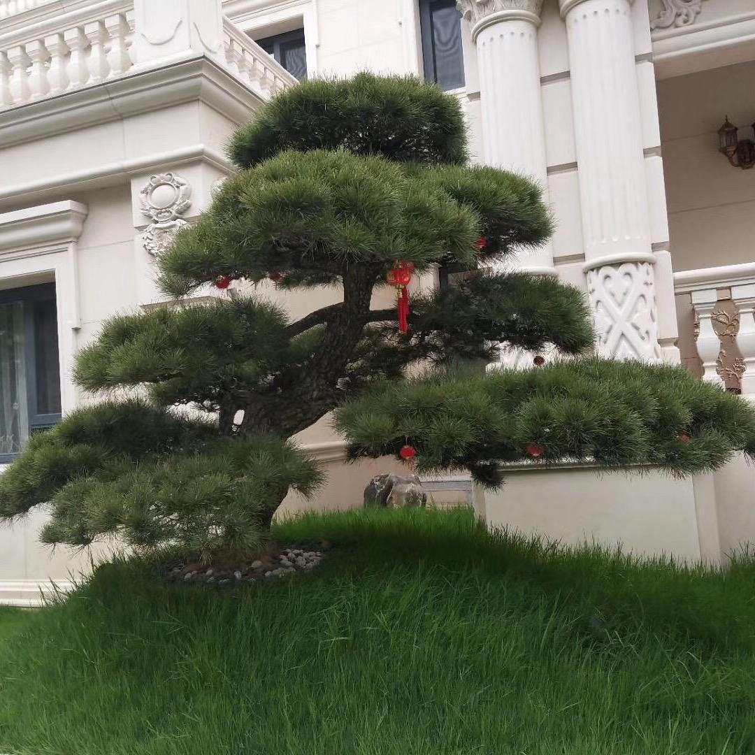 慈溪市双建花卉农场