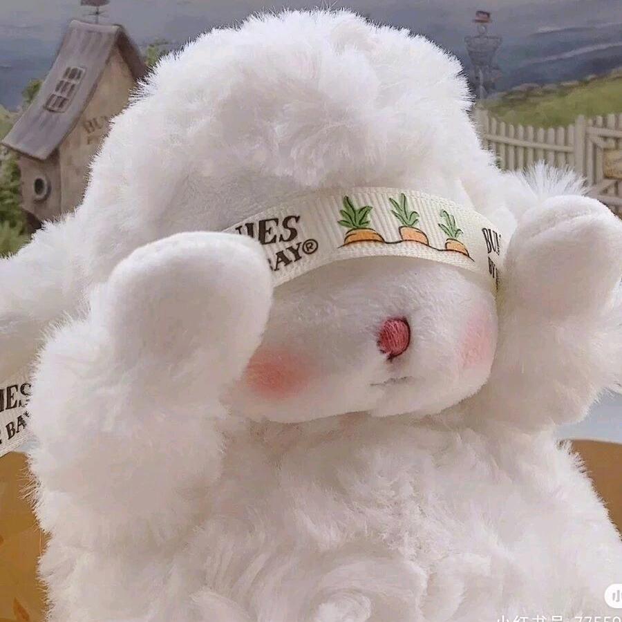 迪士尼在逃后妈