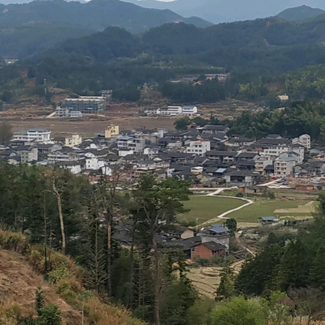 繁花似锦