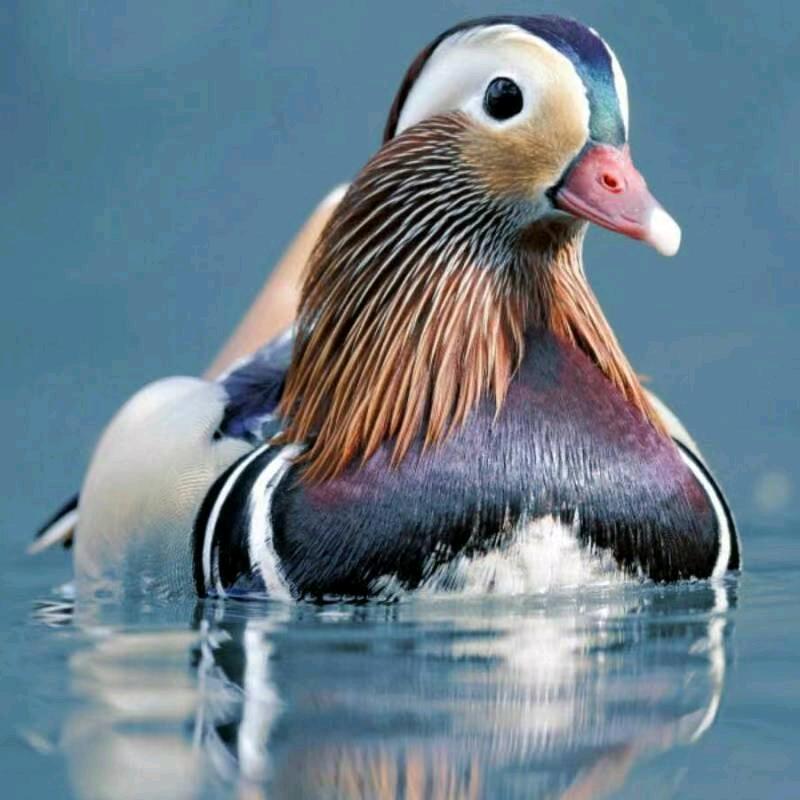 宏氣