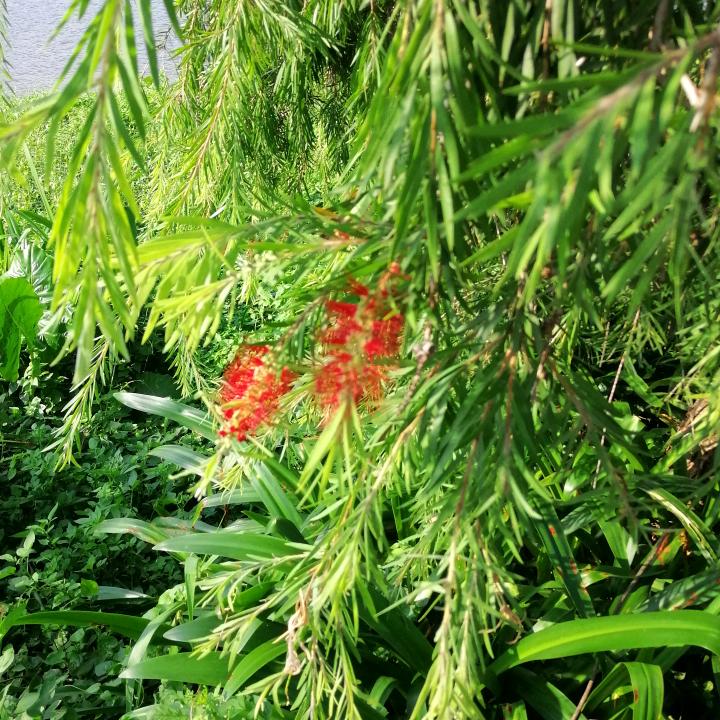 生命过客