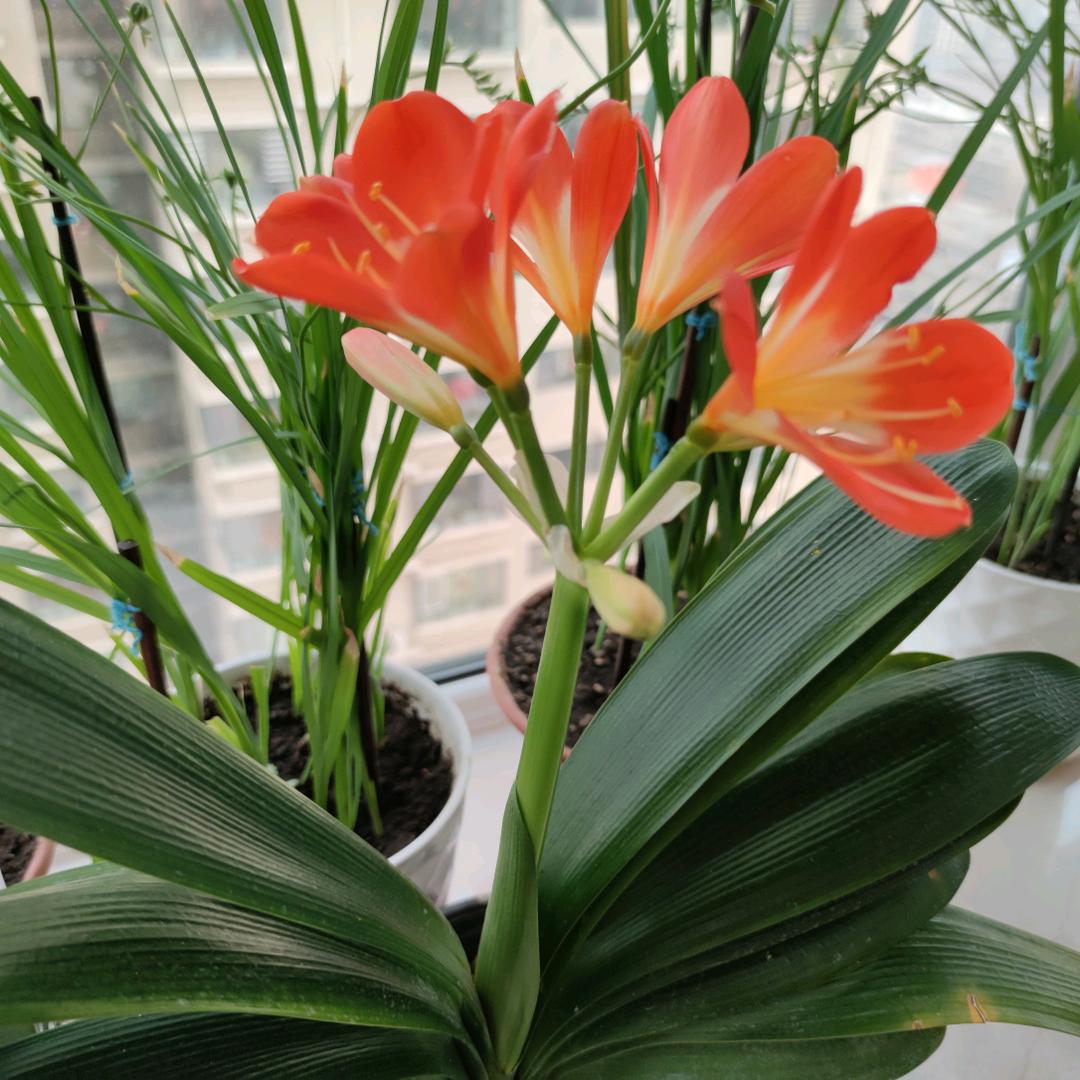 指尖划过流年⁵⁷⁶ ᐝ