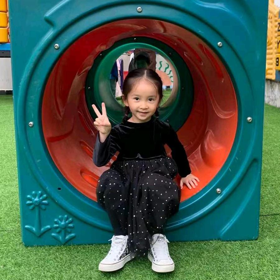 锦鲤张脑丸子