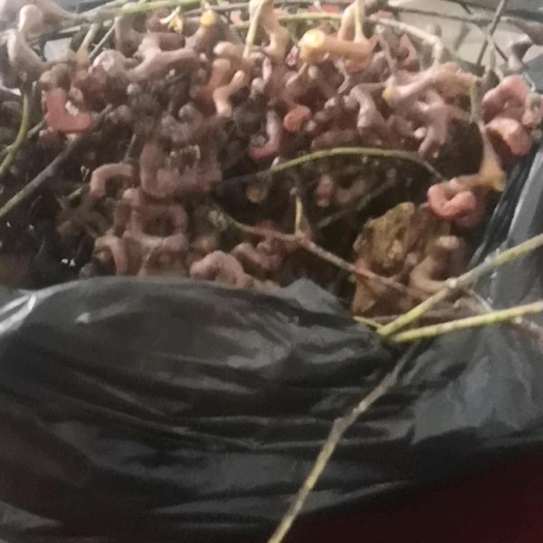 用户9750768095310
