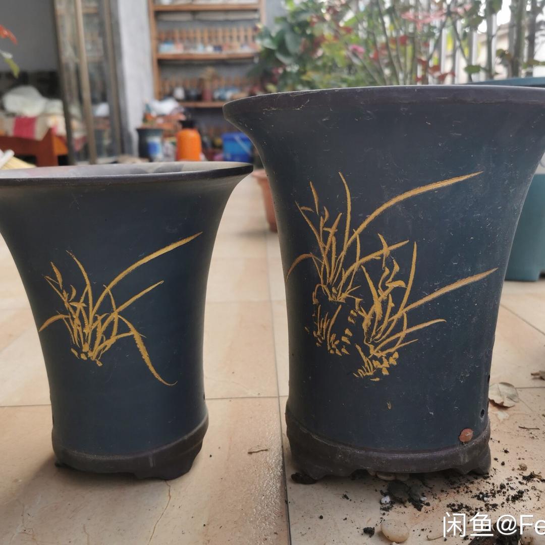 新兴影视