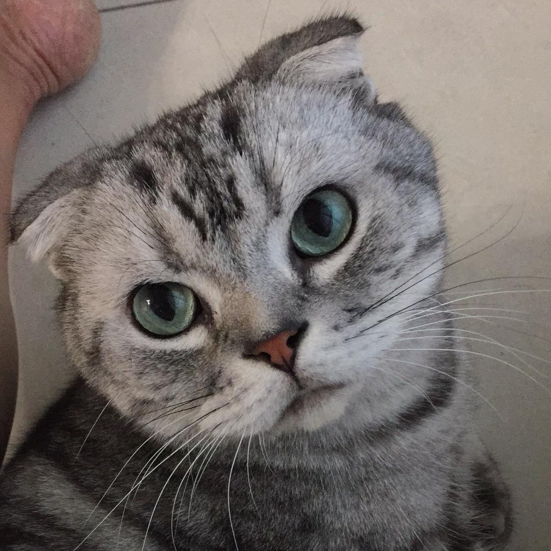 qzy