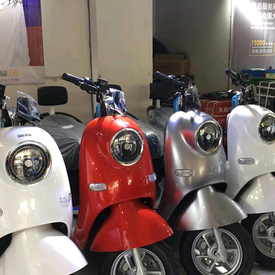 麻州金箭电动车店