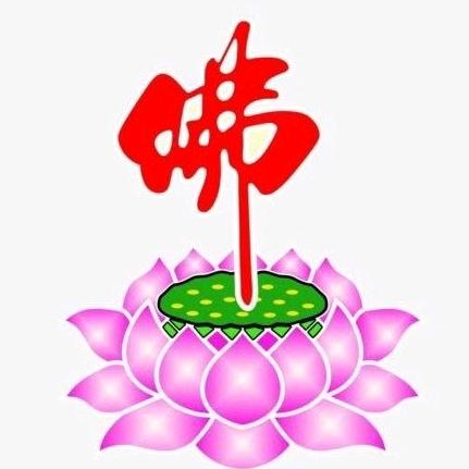 🙏双行道🙏有关必回