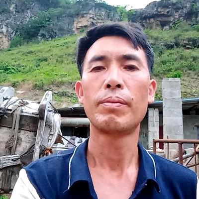 青松长在