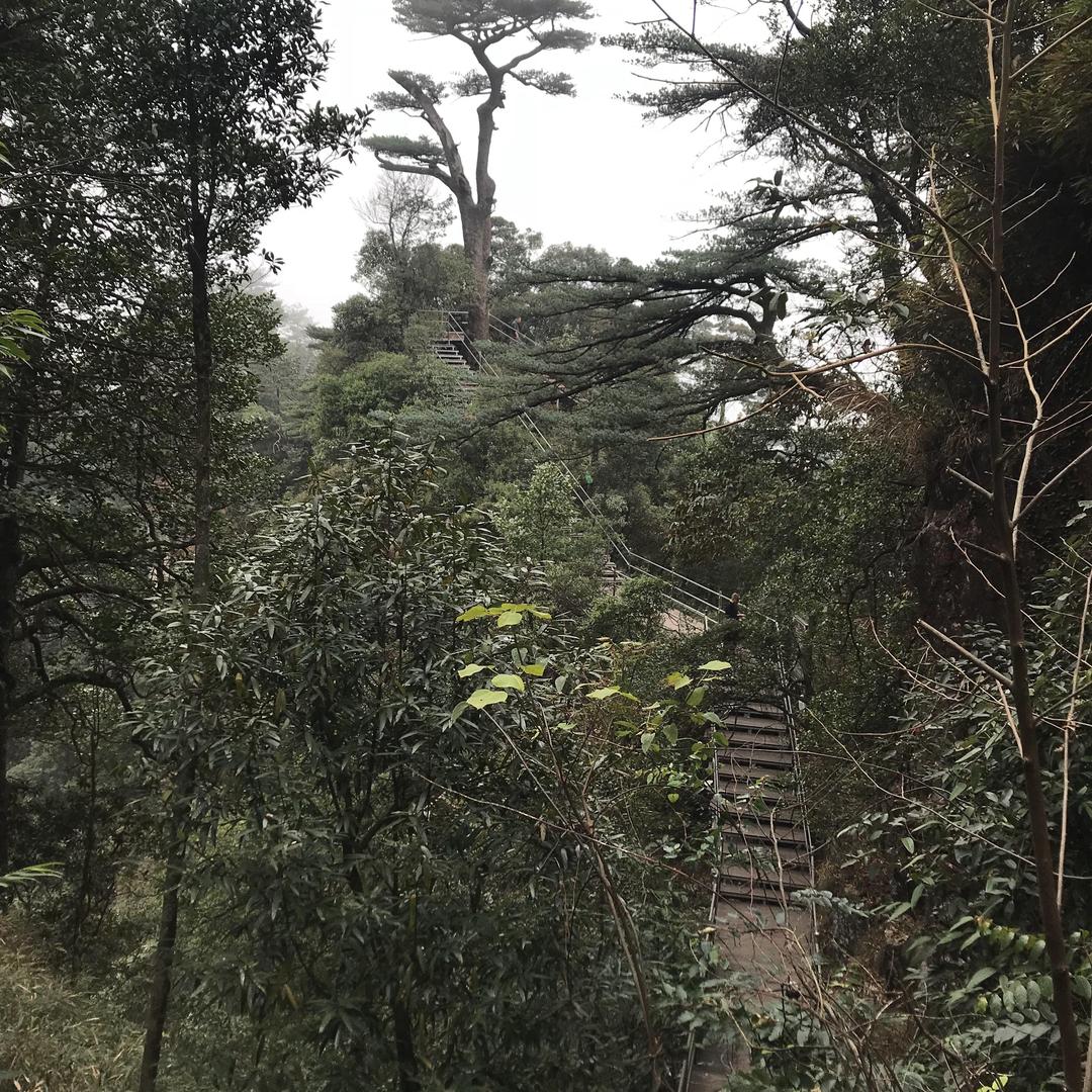 无忧无虑