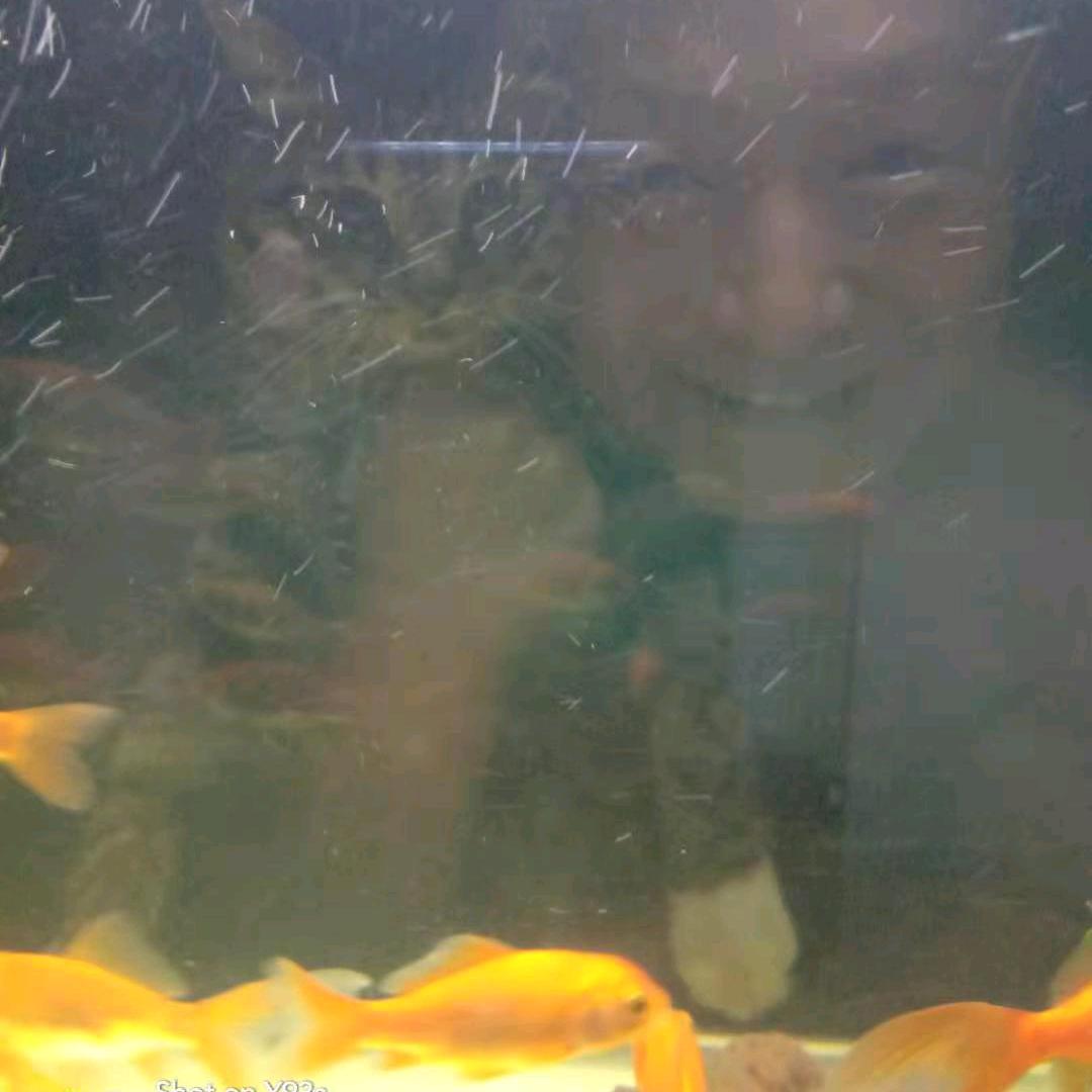 六渡