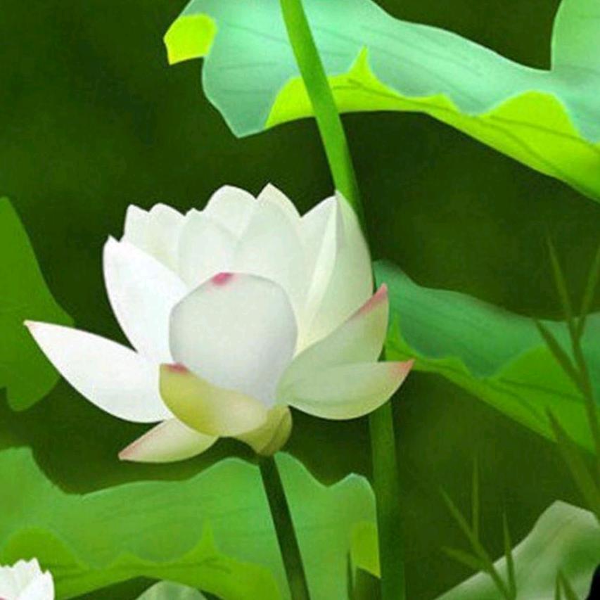 真爱