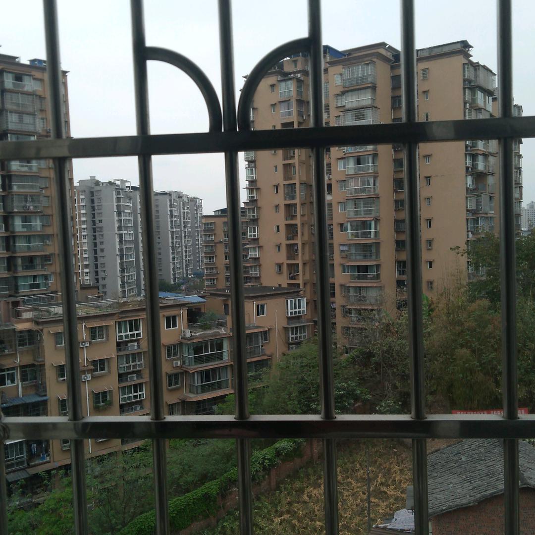 五彩缤纷