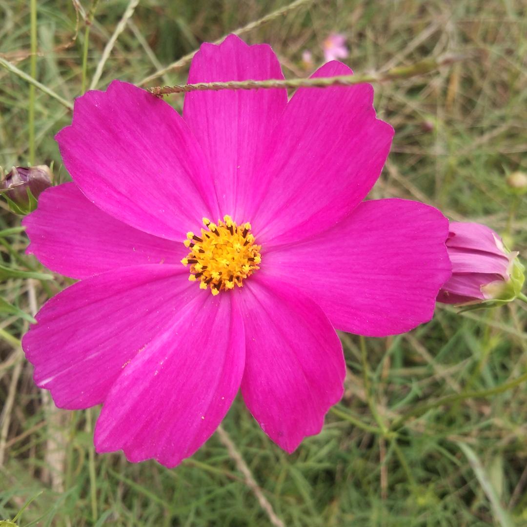 人活着就是一种心态