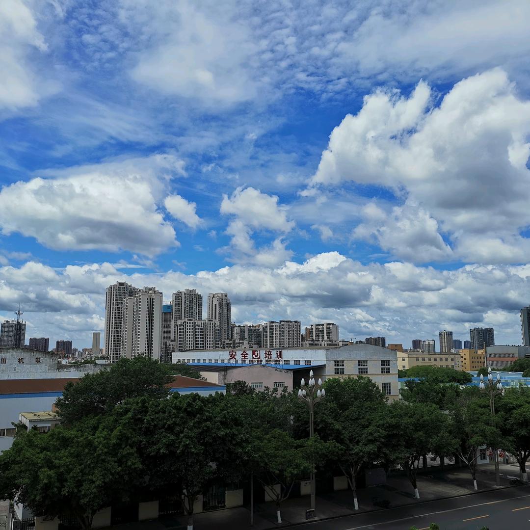 苍海一声啸