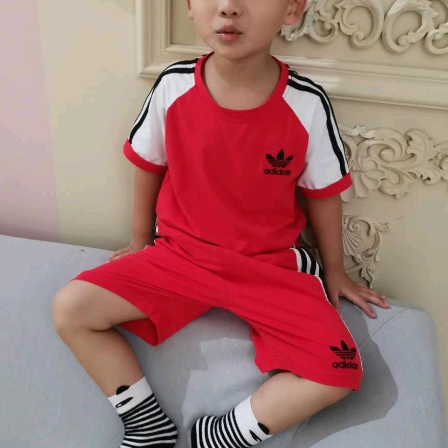 用户311457296781