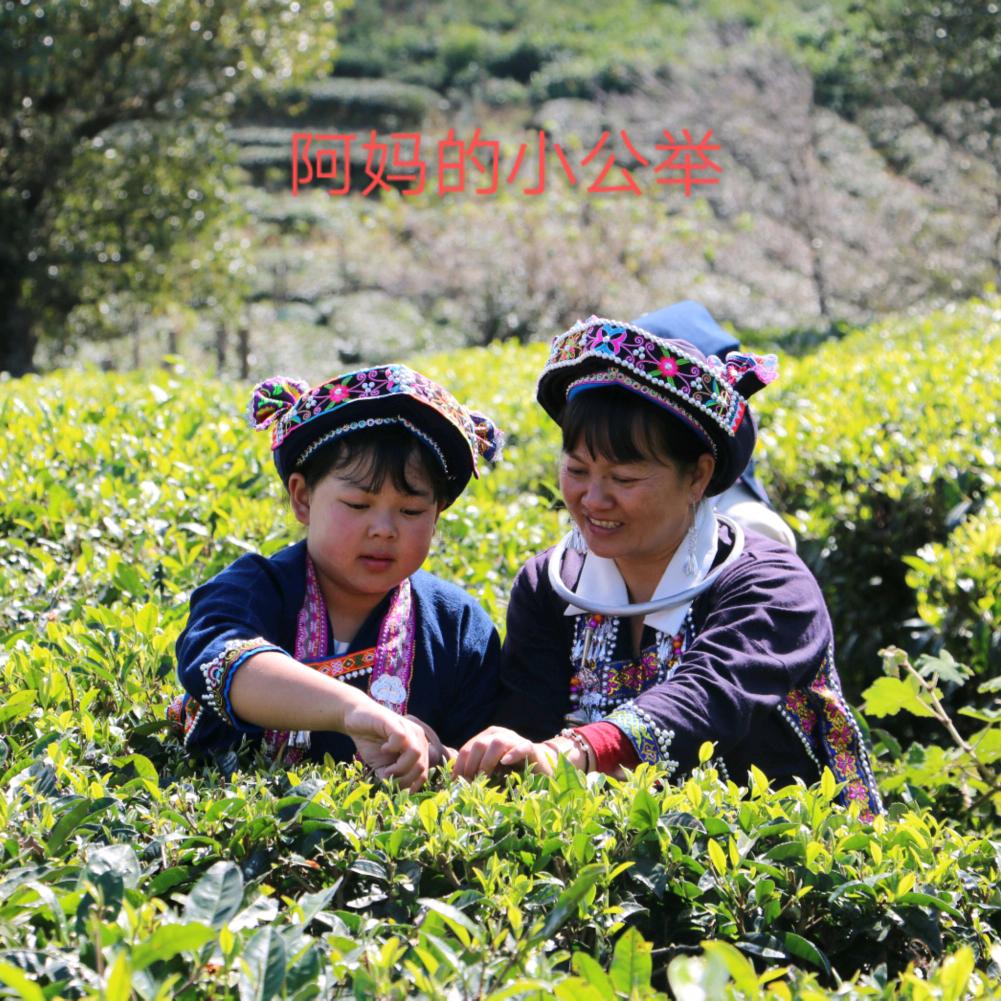 舞动人生