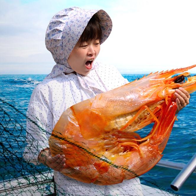 星宝海产品