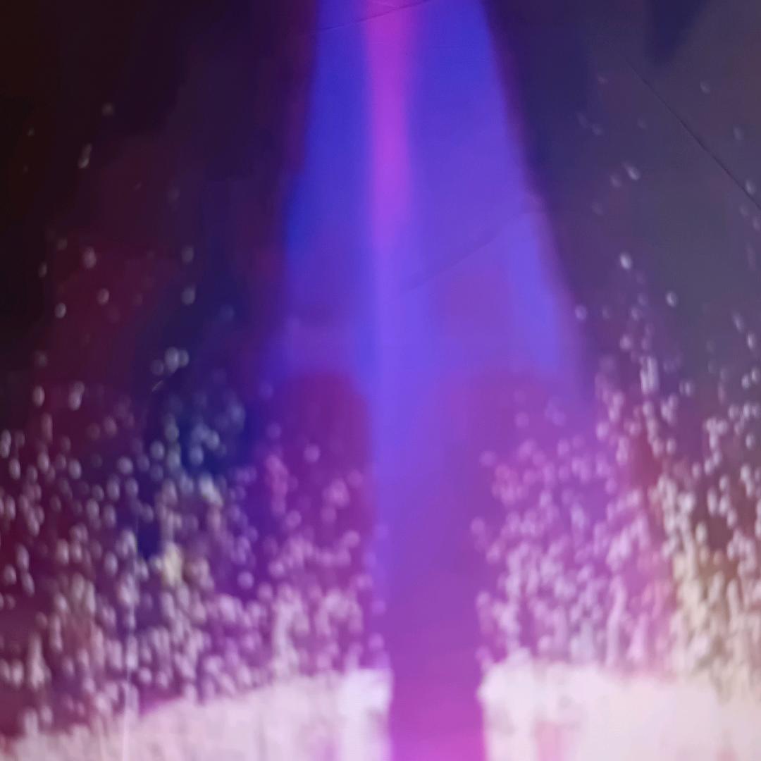 梅花三弄