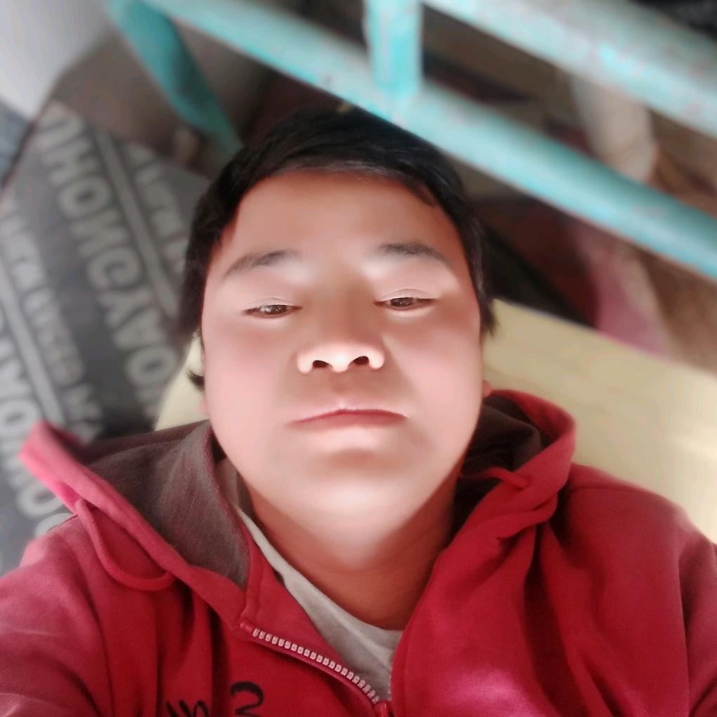 小熊